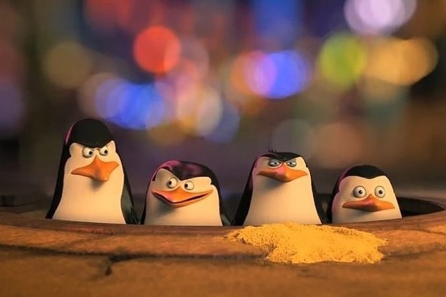 "Pingwiny z Madagaskaru" (fot. screen z YouTube.com)