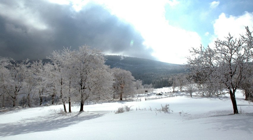 W okolicy szczytu Sokolica zimą działają wyciągi narciarskie
