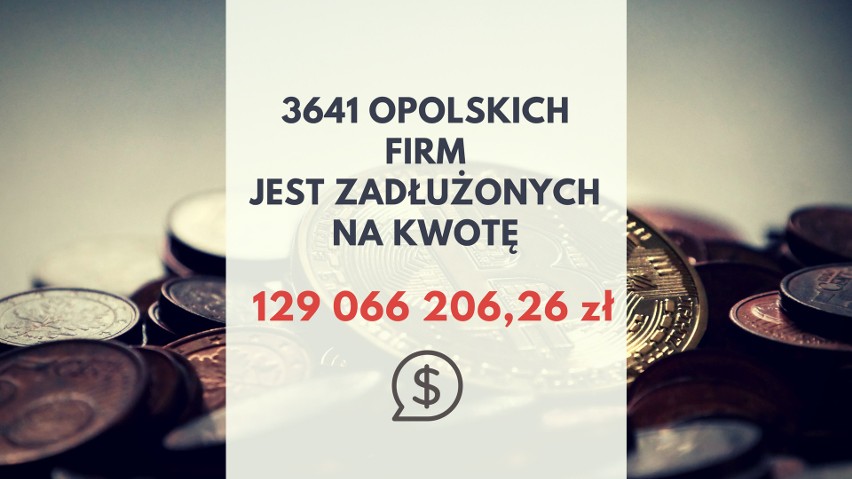 Jakie długi mają mieszkańcy województwa opolskiego i firmy w...