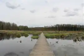 Miejsca w Podlaskiem idealne na jednodniową wycieczkę w weekend
