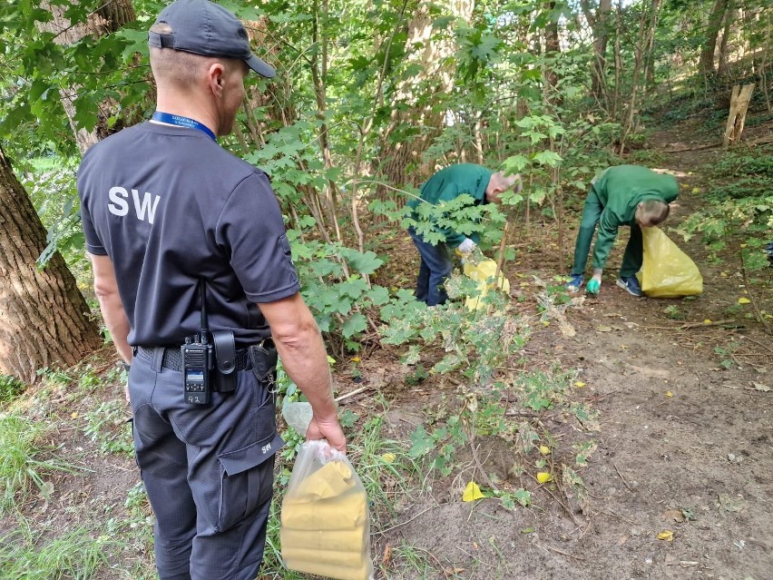 Więźniowie ZK w Koronowie tej jesieni porządkowali miasto w...