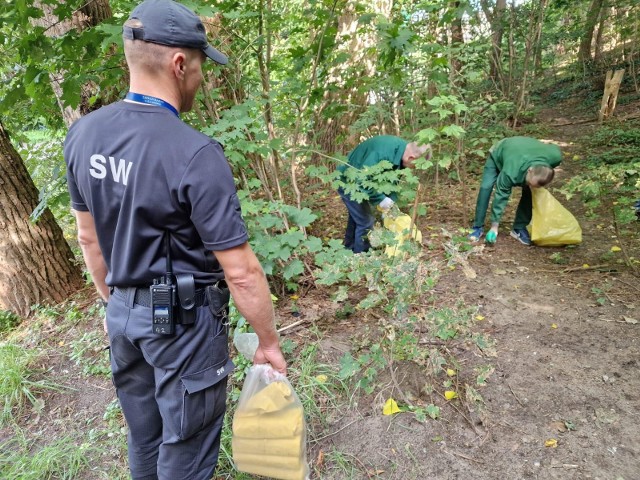 Więźniowie ZK w Koronowie tej jesieni porządkowali miasto w ramach akcji „Sprzątania Świata”. Teraz zajmą się dzikimi wysypiskami śmieci