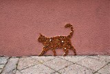 Krótki żywot bursztynowego kota w Gdańsku. Płaskorzeźba w ramach street artu przetrwała niespełna miesiąc