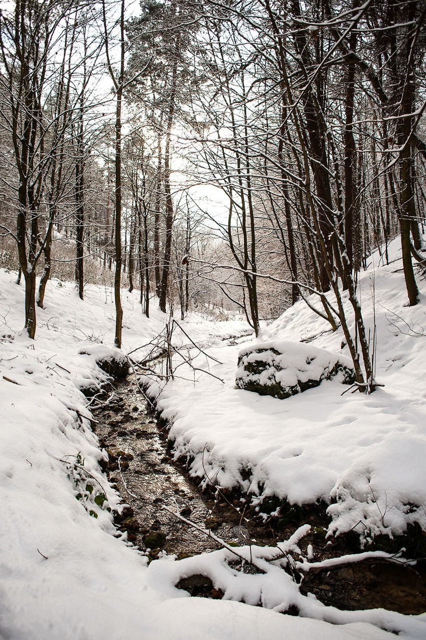 Piękna zima w Dolinkach Podkrakowskich [ZDJĘCIA, WIDEO]