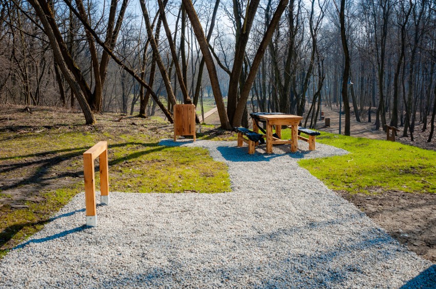 Park Tysiąclecia jest przepiękny. To miejsce może podbić...