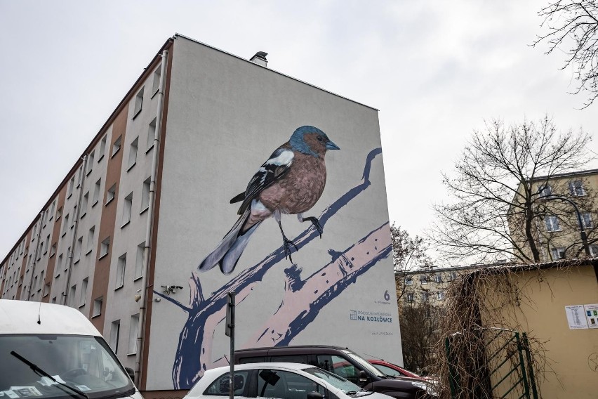 Murale - osiedle Na Kozłówce