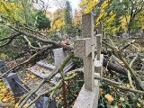 Dramatyczne skutki wichury na cmentarzach w Toruniu! Wiatr połamał i poprzewracał drzewa. Mamy zdjęcia! 