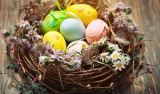 Zbliża się Iłżecki Jarmark Wielkanocny. W Niedzielę Palmową na Rynku będzie mnóstwo wystawców