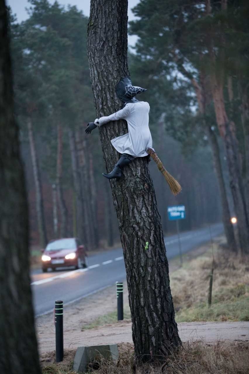 Baba Jaga na miotle na trasie Drążdżewo-Jednorożec 