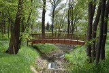 Park Szwajcarska Dolina w Czechowicach-Dziedzicach udostępniono rok temu. To świetne miejsce na wiosenny spacer – ZDJĘCIA