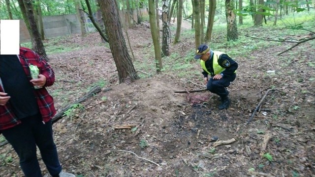 Strażacy miejscy z Poznania ukarała mandatem o wartości 400 zł mężczyznę, który wypalał kable w lesie.