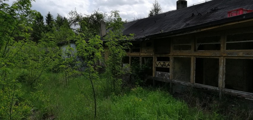 Jak dziś wygląda ośrodek kolonijny "Skogaru" w Rydzynkach koło Tuszyna. Czy tu straszy?
