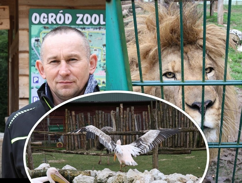 Zoo Leśne Zacisze w Lisowie to prawdziwy raj dla zwierząt z...