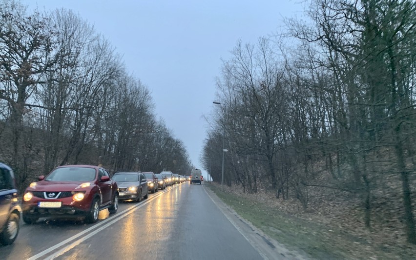 Ogromny korek przy wjeździe do Bydgoszczy. Wszystko przez... kontrolę trzeźwości