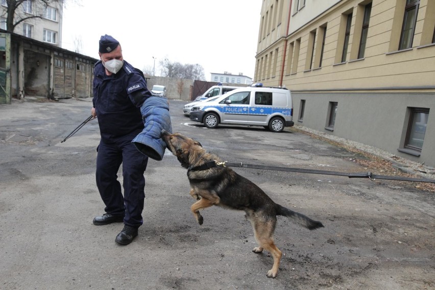 Podwyżki w policji. Ile zarabiają policjanci na...