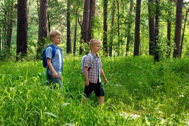 W czasie nadchodzącej majówki królować będą wyjazdy w góry. Chociaż w tym roku weekend majowy można rozciągnąć do 4 dni, blisko połowa turystów jest zainteresowana wyjazdem trzydniowym. Wiemy, jakie są najpopularniejsze kierunki wyjazdów na majówkę w Polsce. Jakie polskie miejscowości cieszą się największym zainteresowaniem na majówkę w tym roku? Pokazujemy na kolejnych slajdach naszej galerii.