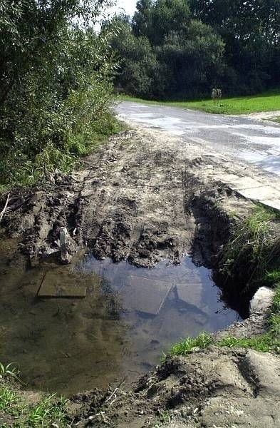 Stąd mieszkańcy Łopatna biorą wodę do swoich gospodarstw. Podlewają rośliny i poją zwierzęta.