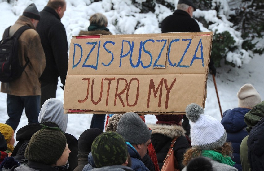 Plan wycinki drzew w Puszczy białowieskiej wywołuje...