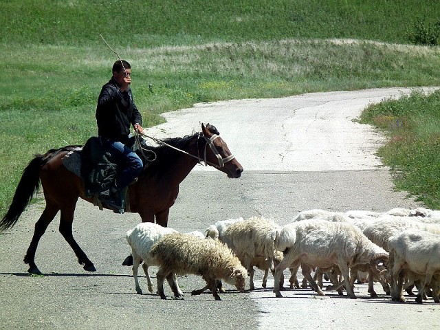 Gruzja. Kachetia