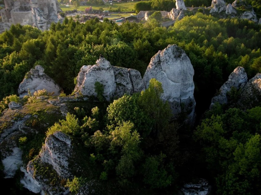 Jura Krakowsko-Częstochowska z lotu ptaka [ZDJĘCIA]