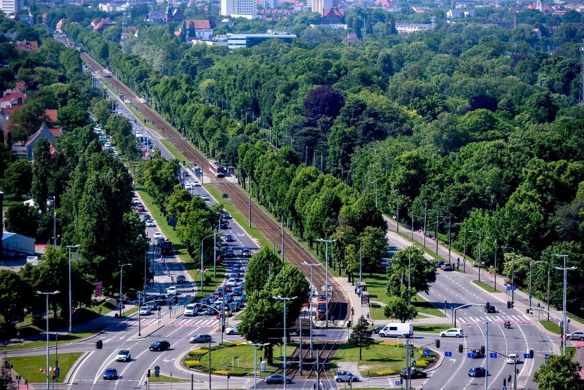 Chcą przywrócić dawny kształt Alei Lipowej w Gdańsku....