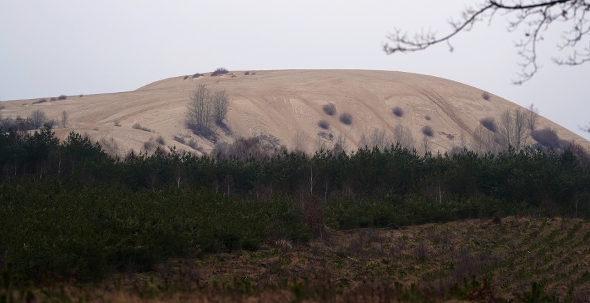 8 milionów ton piasku, 600 metrów długości i 200 metrów...