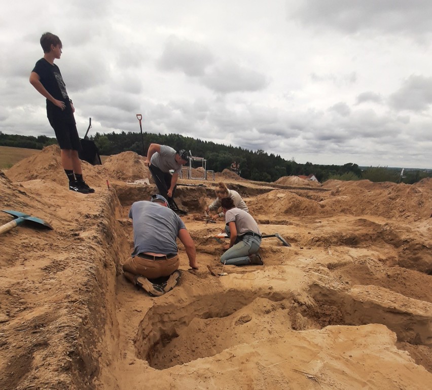 Archeolodzy z UMK w Toruniu, wspierani przez wolontariuszy,...