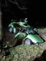 Śmiertelny wypadek. Samochód uderzył w drzewo. Nie żyje 19-latek