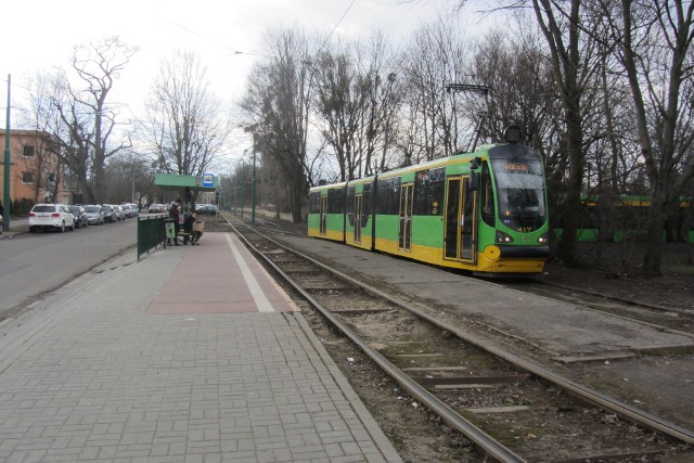 Trasa tramwaju rozpocznie się od pętli Wilczak, obok też miasto przejmuje część parku