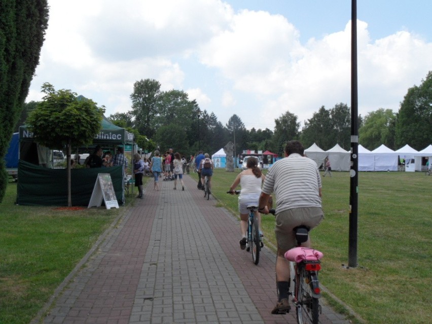 Leśny Piknik Rodzinny Ekoodpowiedzialnie 2015 w Katowicach