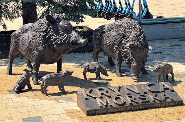Stado przyjaznych dzików w Krynicy Morskiej. Nietypowa rzeźba w centrum miasta