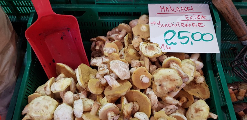 Ceny grzybów na targowisku na placu Miarki w Katowicach 24...