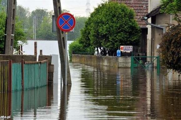 Prawie wszyscy ubezpieczyciele deklarują, że szybko wycenią szkody.