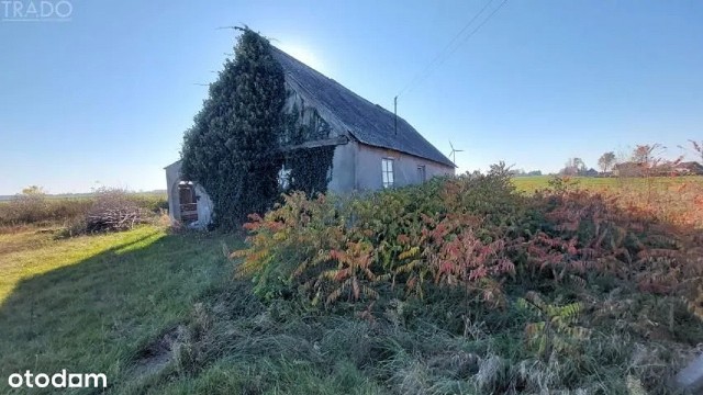 Dom za kilkadziesiąt tysięcy? Brzmi naprawdę dobrze, dopóki nie zagłębimy się w treść ogłoszenia i nie zobaczymy zdjęć. Najtańsze nieruchomości na sprzedaż w większości przypadków wymagają dalszych, często niemałych nakładów finansowych. Są jednak i takie domy, które - choć wspomnianego remontu wymagają - mają "duszę" i już na pierwszy rzut oka widać, że w odpowiednich rękach mają szansę odzyskać dawny blask.Jak wyglądają i ile kosztują najtańsze domy na sprzedaż w Wielkopolsce? Sprawdź najciekawsze oferty --->