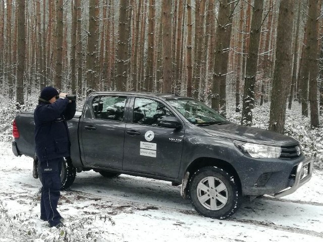 Strażnicy leśni wypatrują złodziei choinek i kłusowników.