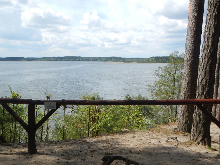 Park Narodowy „Bory Tucholskie” spogląda na Jezioro Charzykowskie