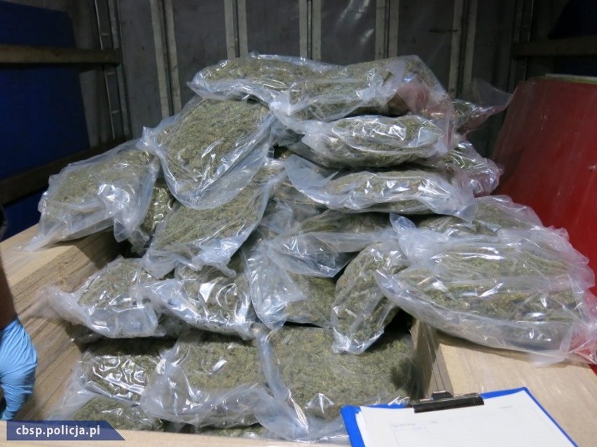 Pseudokibice przemycali 65 kg narkotyków