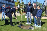 "Dzień drzewa" w Fabryce Pełnej Życia w Dąbrowie Górniczej. Mieszkańcy dostali sadzonki. Posadzony został też symboliczny dąb