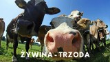 Podlaska wiedza tajemna dla początkujących. Lepiej się przygotuj