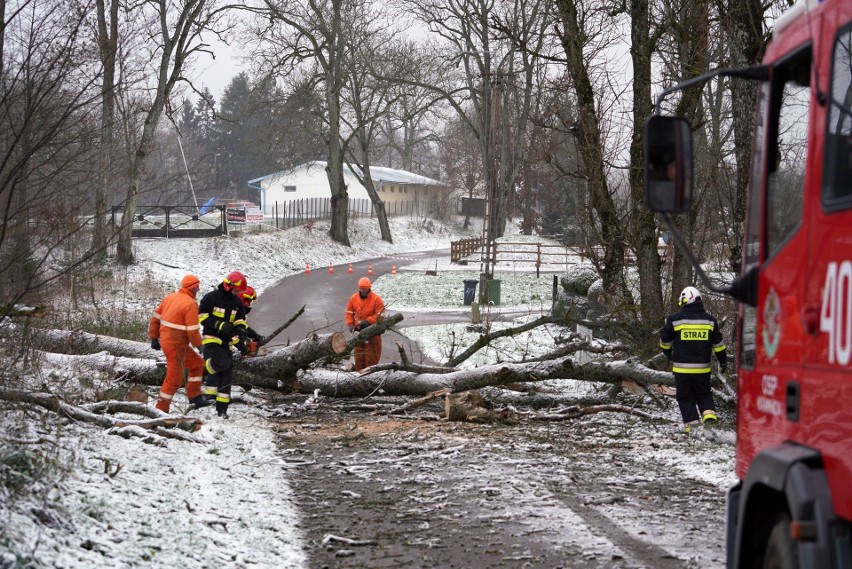 Powalone drzewo i zerwana linia energetyczna w Bobięcinie...