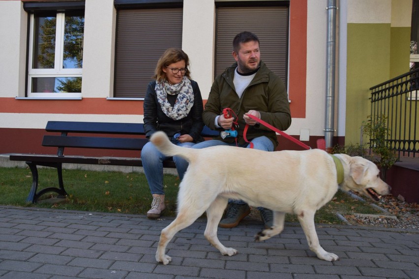 Wybory samorządowe 2018. Aktualne wiadomości z Nowej Soli - frekwencja 