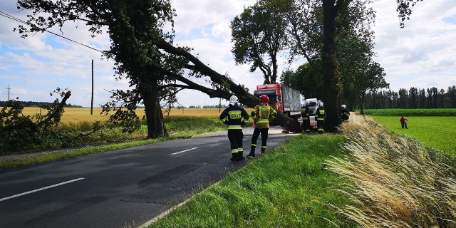 Trwa usuwanie drzewa, które przewróciło się na drodze wojewódzkiej nr 241 w Kcyni. Utrudnienia mogą potrwać około 2 godzin. Wyznaczono objazdy przez Grocholin.Flesz - wypadki drogowe. Jak udzielić pierwszej pomocy?