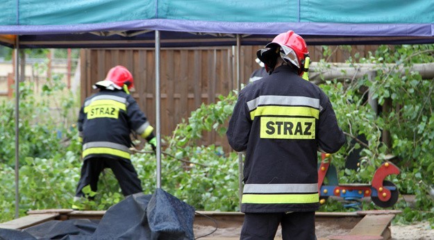 Drzewo spadło na teren przedszkola w Zielonej Górze.