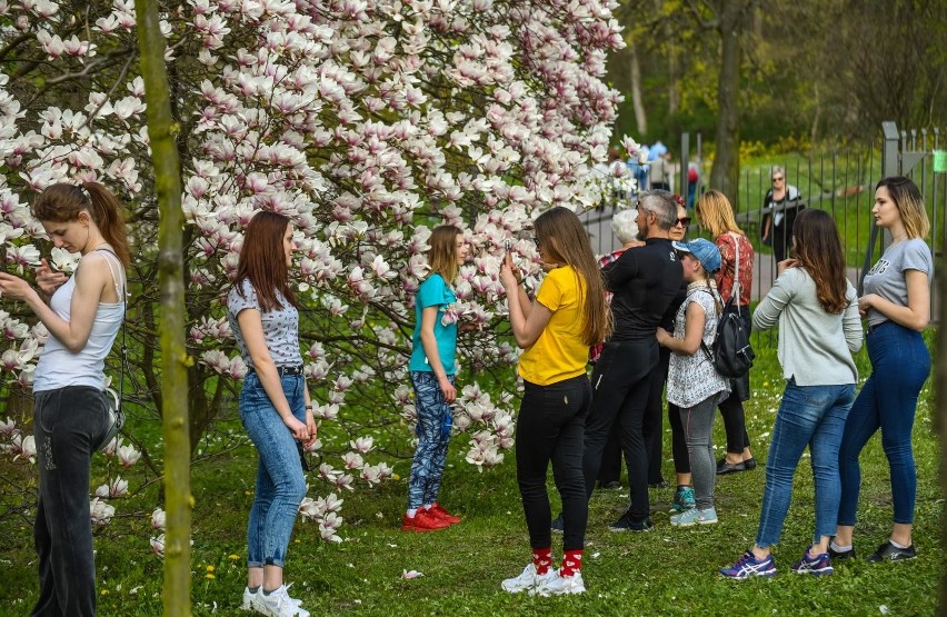 W wielkanocną niedzielę skwery i miejskie parki zapełniły...