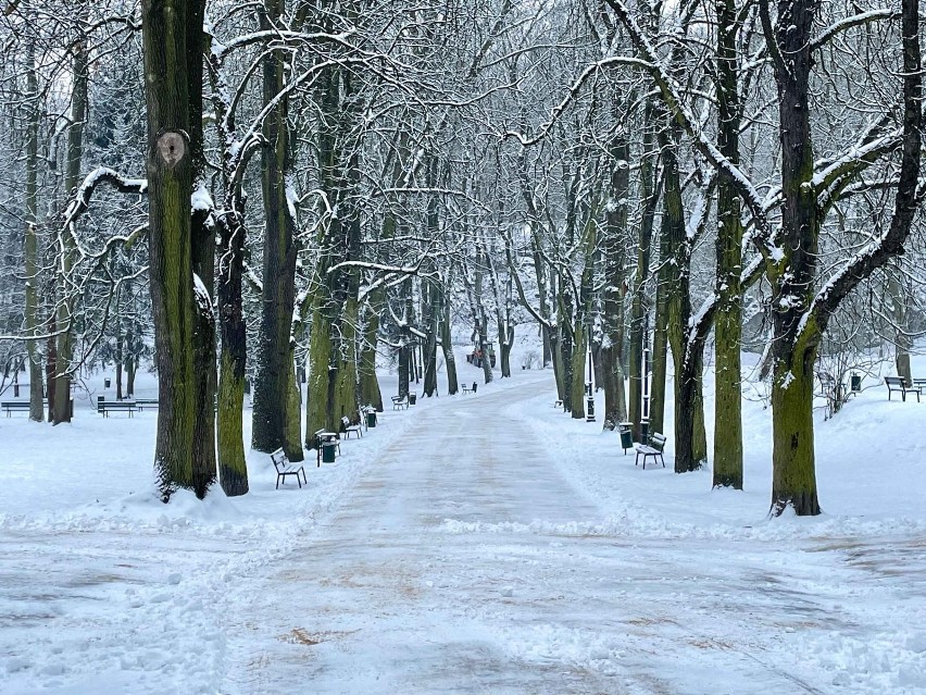 Zima w parku Bednarskiego