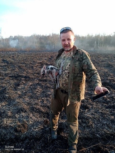 Leśnik uratował małego warchlaka przed płomieniami