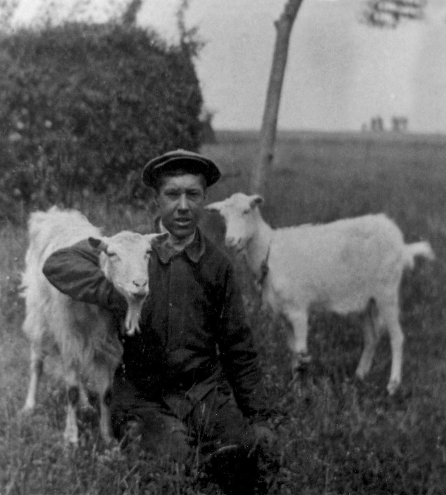 Sto lat temu w województwie śląskim hodowano około 100 tysięcy kóz. Dzisiaj w całej Polsce jest ich około 40 tysięcy