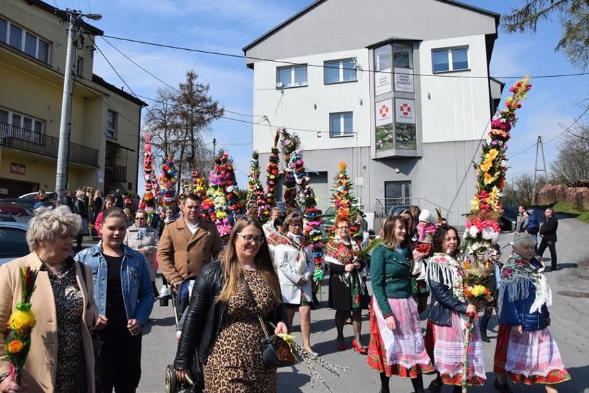 Obchody Niedzieli Palmowej w Gołczy z procesją i osiołkiem