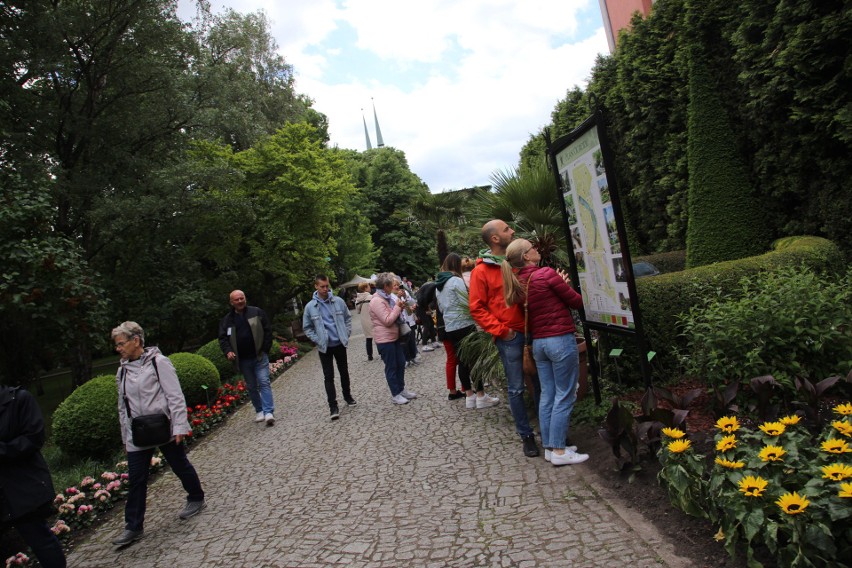 Dzień Dziecka w ogrodzie botanicznym we Wrocławiu 29.05.2022