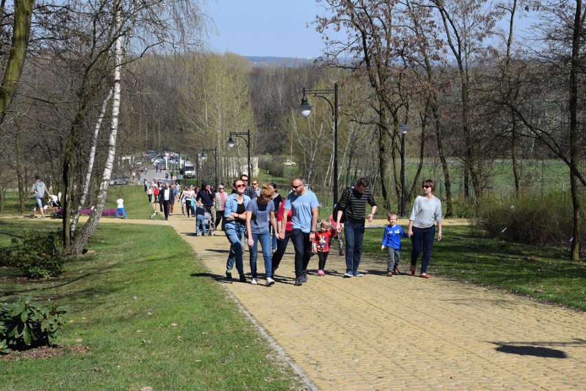 Śląski Ogród Botaniczny. Międzynarodowy Dzień Ptaków